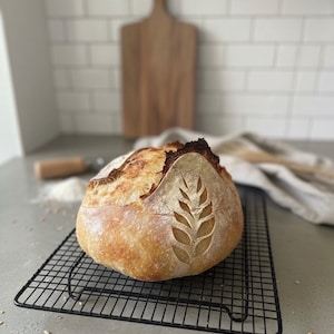 Calgary Dehydrated Sourdough Starter- TRIPLES in size!! image 5