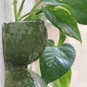 Ceramic Wall Vase – Glazed Hanging Planter for Fresh or Dried Flowers