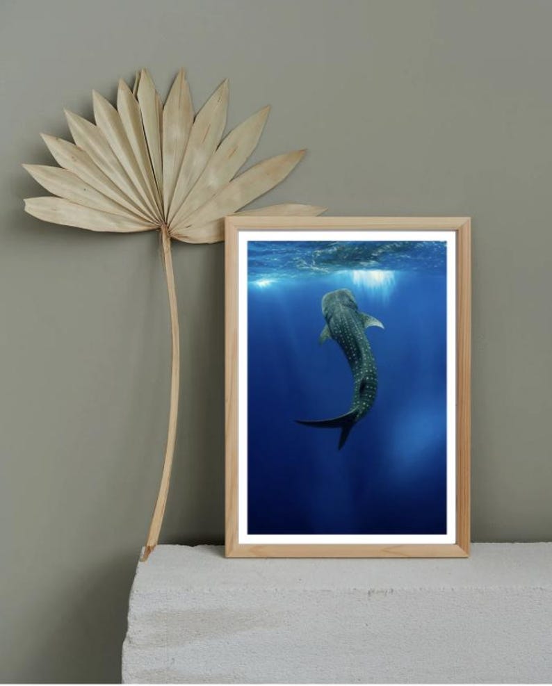 Whale Shark Poster Marine Ocean Poster Underwater Wall Decor whale-shark-poster-marine-ocean-poster-underwater-wall-decor