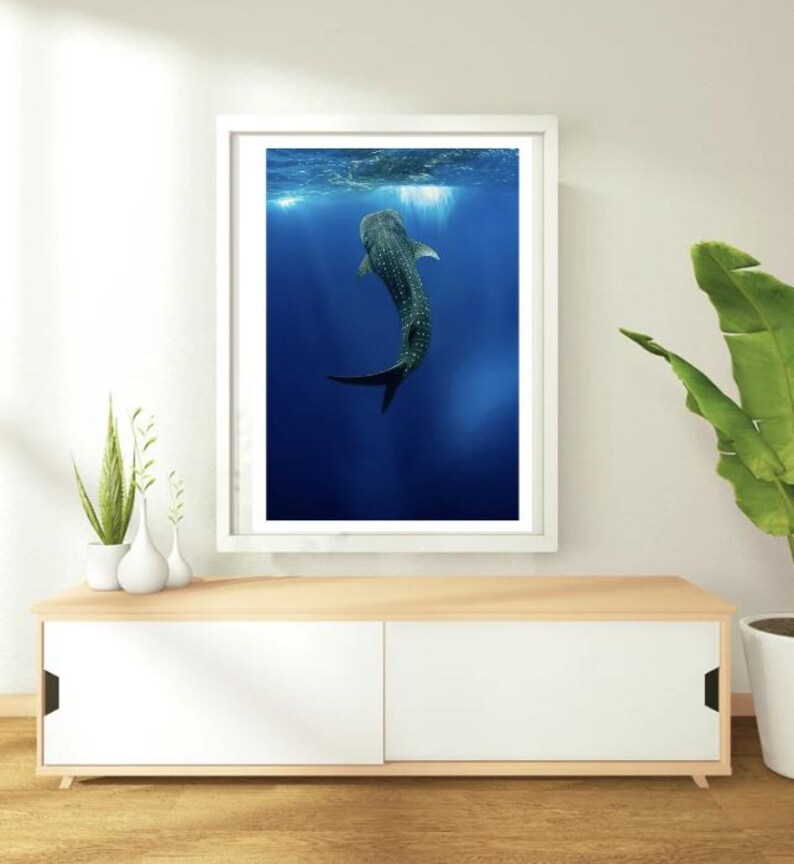 Whale Shark Poster | Marine Ocean Poster | Underwater Wall Decor ...