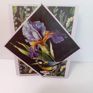 Cartes événements (anniversaires, fêtes ou remerciements)