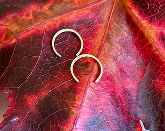 OpEn HooP, HoRsEsHoE EaRRiNg…