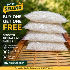 May include: Four clear plastic bags stacked vertically, each filled with numerous small, white, smooth dentalium shells. Text on the image includes MOST SELLING, BUY ONE GET ONE FREE, SMOOTH DENTALIUM SHELLS, 100% Natural & Handpicked, Premium Quality & Cleaned, Bulk Orders Available, and BULK ORDERS.