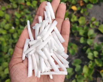 Muszle Dentalium z gładkimi krawędziami, 1–1,5 cala, 1 kg (2,2 funta) | Naturalne muszle hurtowe | Wyrób biżuterii, koraliki, artykuły rzemieślnicze