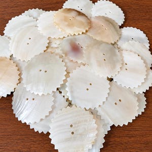 May include: A collection of round, off-white mother-of-pearl buttons featuring a scalloped, serrated edge and two central holes. Each button displays a natural, iridescent sheen with subtle variations in colour, ranging from cream to light brown.