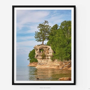 May include: A lone tree grows out of a rocky cliff overlooking a calm blue lake. The cliff is made of sandstone and has a natural archway. The sky is a bright blue with white clouds.