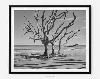 Jekyll Island Driftwood Beach, A Jekyll Island Black And White Fine Art Photography Print, Minimalist Art, Art For Gratitude