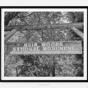 Segnale del sentiero del Muir Woods National Monument, stampa fotografica artistica, contea di Marin, California, arte murale, bianco e nero, arte per la gratitudine