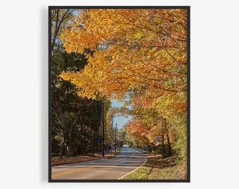 May include: A framed print of a tree-lined road in autumn. The road curves into the distance, flanked by trees with vibrant yellow and orange leaves. The sky is a clear blue, and the scene is bathed in sunlight.
