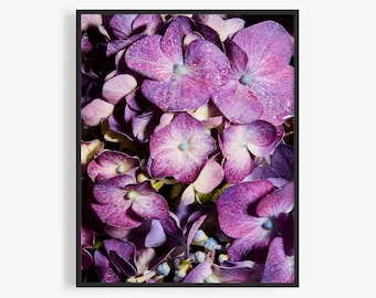Flower Photography Print of Purple Hydrangea, Floral Photography Print. Valentine's Day Gift, Art for Gratitude. Wall Art, Close up, Macro,