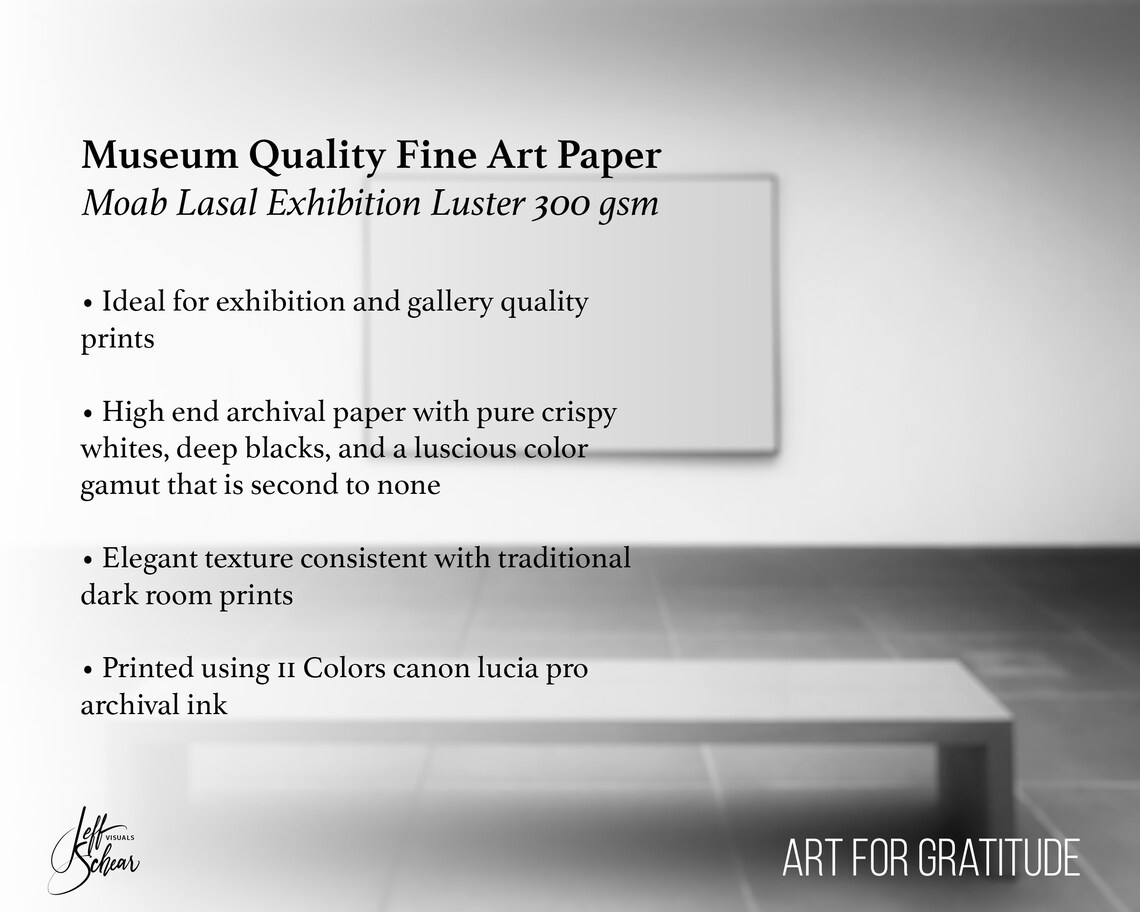 Flower Photography Print of Pink Rose Floral Photography Etsy