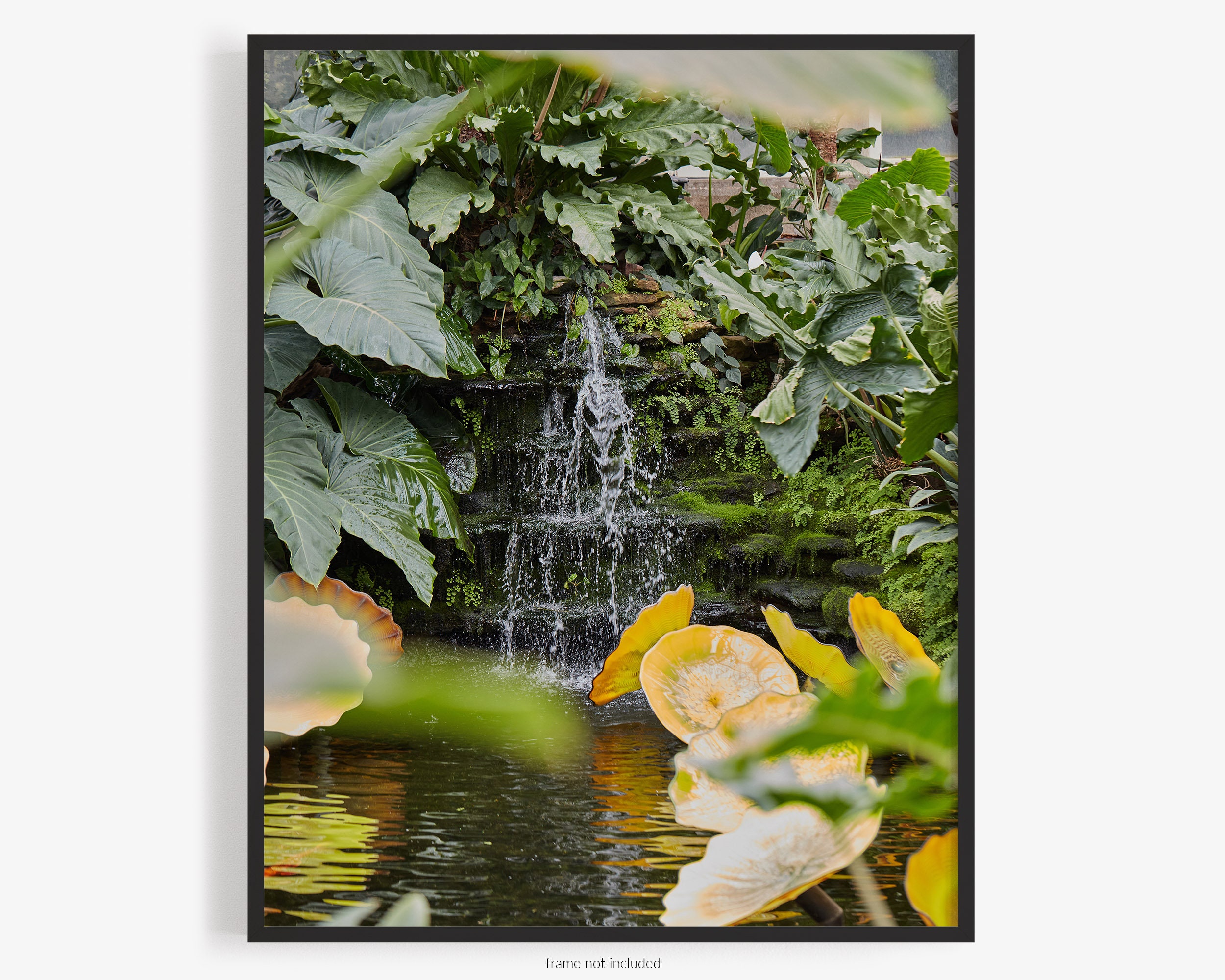 Waterfall At Garfield Park Conservatory Photography Print, In Chicago Illinois, Plants In Greenhouse, Art For Gratitude