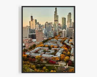 Chicago South Loop Photography Print, Chicago Photography, Fall Leaves, On South Prairie Ave. By Jeff Schear, Art For Gratitude. Chicago Art