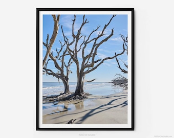 Jekyll Island Driftwood Beach, A Jekyll Island Georgia Fine Art Photography Print, Minimalist Art, Art For Gratitude