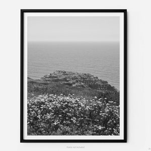 View Of Yucca Point On Torrey Pines Beach Trail, Black And White Fine Art Photography Print, In San Diego California, Art For Gratitude