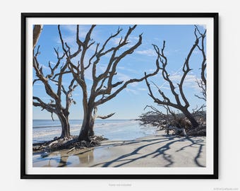 Jekyll Island Driftwood Beach, A Jekyll Island Georgia Fine Art Photography Print, Minimalist Art, Art For Gratitude