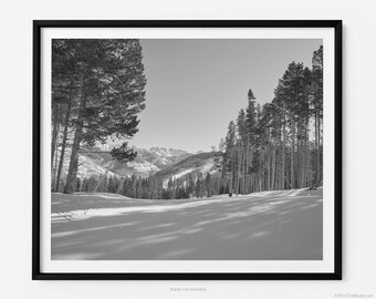 Cub's Way Ski Trail Run, A Vail Colorado Black And White Fine Art Photography Print, At Vail Ski Resort, Art For Gratitude