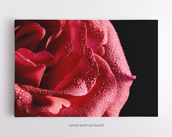 Flower Photography Canvas Print of Red Rose, Floral Photography Canvas Print, Gallery Wrapped Canvas, On Black, Macro,  Valentine's Day Gift