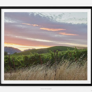 Napa Valley Vineyard Sunset, Fine Art Photography Print, In California, Napa Wall Art, Winery Print, Art For Gratitude