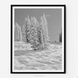 Wild Card Black Diamond Piste im Winterurlaubsort, A Vail Schwarz-Weiß-Kunstfotografie, Ansicht des Spiels Creek Express-Lift