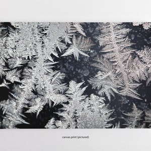 May include: Close-up of intricate, silver-colored frost patterns on a dark background. The frost resembles delicate, fern-like branches.