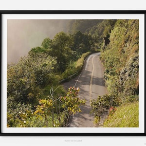 Road To Hana, A Maui Hawaii Fine Art Photography Print, Hana Highway, Art For Gratitude