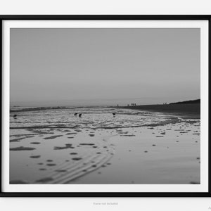 Calm Ocean Sunset at Palmetto Dunes, Hilton Head Island Black And White Fine Art Photography Print, Sandpipers On Beach