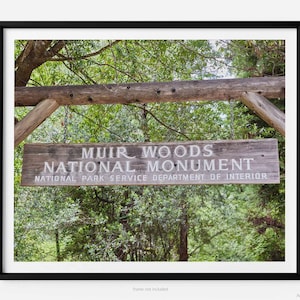 Monumento nazionale Muir Woods, cartello del sentiero escursionistico, stampa fotografica artistica, nella contea di Marin in California, arte murale, estate, arte per la gratitudine