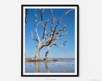Jekyll Island Driftwood Beach, A Jekyll Island Georgia Fine Art Photography Print, Minimalist Art, Art For Gratitude