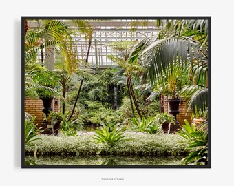 Garfield Park Conservatory Photography Print, In Chicago Illinois, Plants In Greenhouse, With Waterfall And Reflection, Art For Gratitude