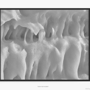 Frozen Ice Fine Art Photography Print, St. Joseph, Black And White, On Lake Michigan, Abstract, Art For Gratitude.