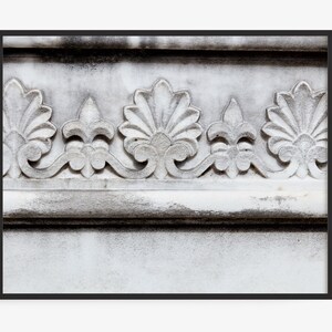 May include: Close-up of a framed, detailed architectural relief. The relief features a repeating pattern of stylized floral and fleur-de-lis elements in shades of white and gray. The frame is black.