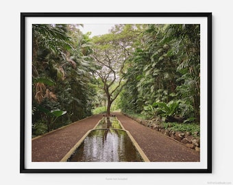 Allerton Garden, A Kauai Hawaii Fine Art Photography Print, Art For Gratitude