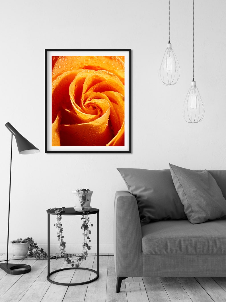 Floral Photography Print Valentine/'s Day Gift Flower Wall Art. Flower Photography Print of Orange Rose Art for Gratitude