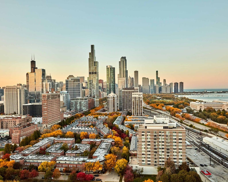 Chicago South Loop Photography Print, Chicago Photography, Fall Leaves, on South Prairie Ave. by