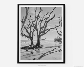Jekyll Island Driftwood Beach, A Jekyll Island Black And White Fine Art Photography Print, Minimalist Art, Art For Gratitude