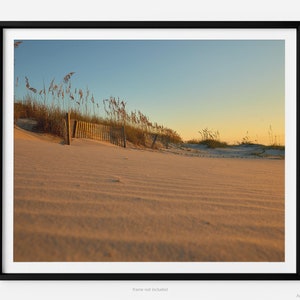 Palmetto Dunes Beach At Sunrise, Hilton Head Island Fine Art Photography Print, With Sand Dunes, Art For Gratitude