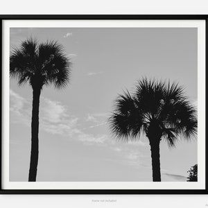 Palmetto Tree Silhouette At Sunset, Hilton Head Island Black And White Fine Art Photography Print, Art For Gratitude