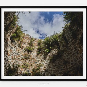 Sugar Mill Plantation Ruins In Jungle, St. John USVI Fine Art Photography Print, Art For Gratitude
