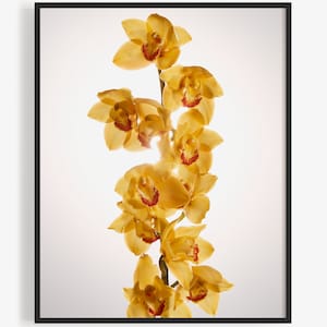 May include: A cluster of yellow orchids with red centers arranged vertically against a white background.