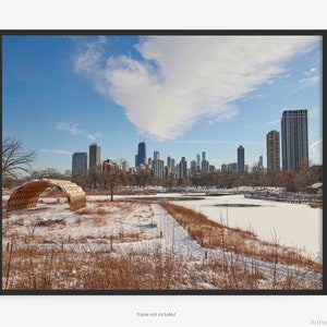 Lincoln Park Natur Boardwalk Fine Art Fotografie Druck, Eine Winter-Szene, In Chicago Kunst für die Dankbarkeit