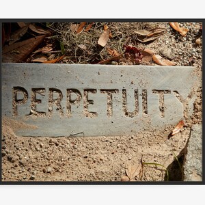 Savannah Georgia Photography Print, of Perpetuity Text On Grave Marker, at Bonaventure Cemetery, Graveyard, Motivational. Art For Gratitude