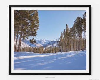 Cub's Way Ski Trail Run, A Vail Colorado Fine Art Photography Print, At Vail Ski Resort, Art For Gratitude