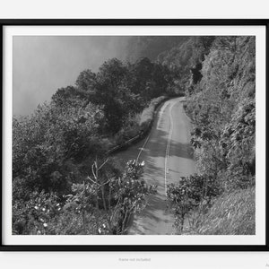 Road To Hana, A Maui Hawaii Black And White Fine Art Photography Print, Hana Highway, Art For Gratitude
