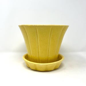 ビンテージの小型イエローマッコイ植木鉢...リブ模様と斑点模様の小さな植木鉢ホルダー