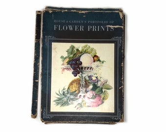 House & Garden's Revised Portfolio of 25 FLOWER PRINTS, Condé Nast 1948 Victorian, Botanical Art, Garden Art Illustrations, Floral Drawings