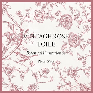 Vintage ros-toile, botanisk illustrationsset PNG SVG, bröllopsblommor, franska rosa blommor, motiv och buketter