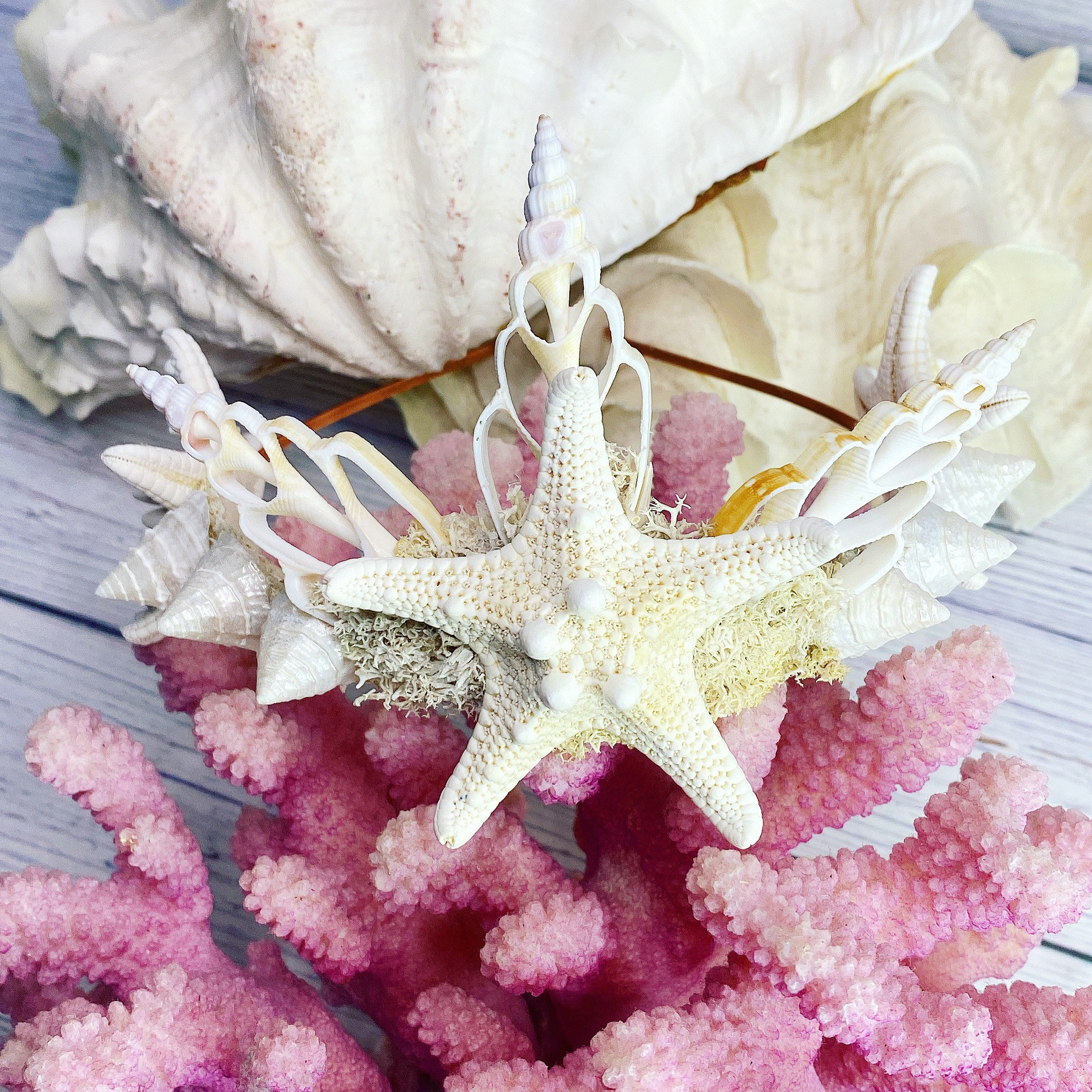 Starfish Headband + Seashell Crown + Mermaid Headpiece Starfish Headband + Seashell Crown + Mermaid Headpiece
