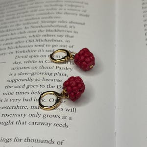 May include: Gold hoop earrings, each featuring a bright red raspberry charm. The earrings are displayed on an open book, highlighting the contrast between the gold, red, and the book's pages.