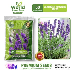 Lavender Flower Seeds, 50 Seeds, Fragrant Blooms, Non-GMO, Easy to Grow, Garden Décor